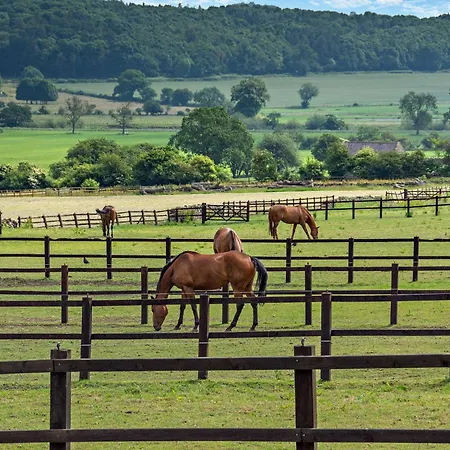 3 Bed In Leyburn 78935 * Middleham