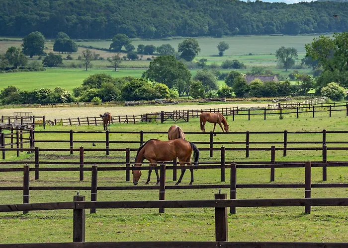 3 Bed In Leyburn 78935 * Middleham